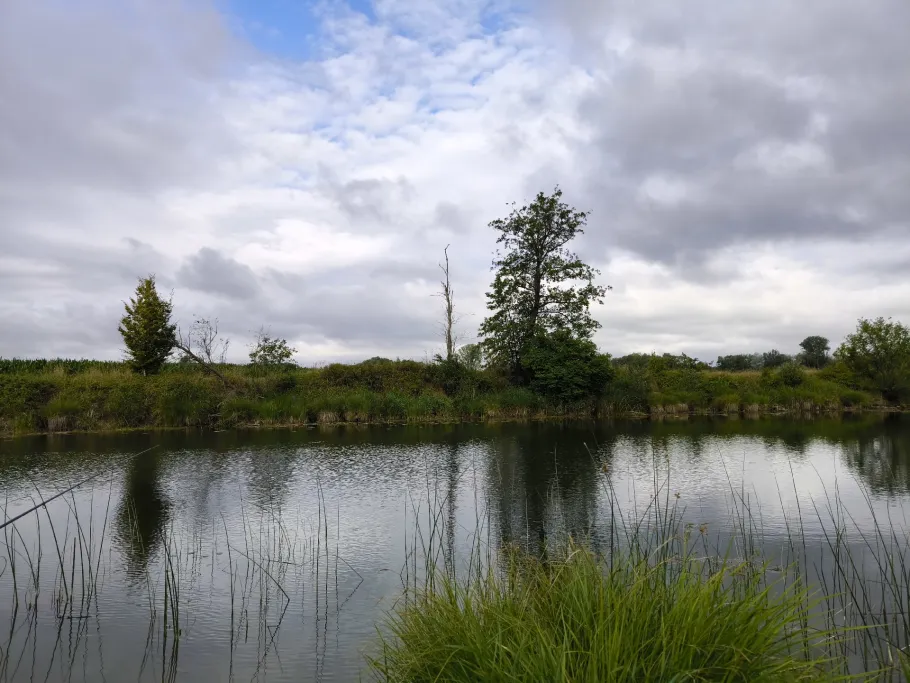 Kleiner Mooser Weiher (Burgheim) angeln