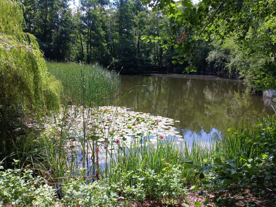 Steinbruch (Möhlau) angeln