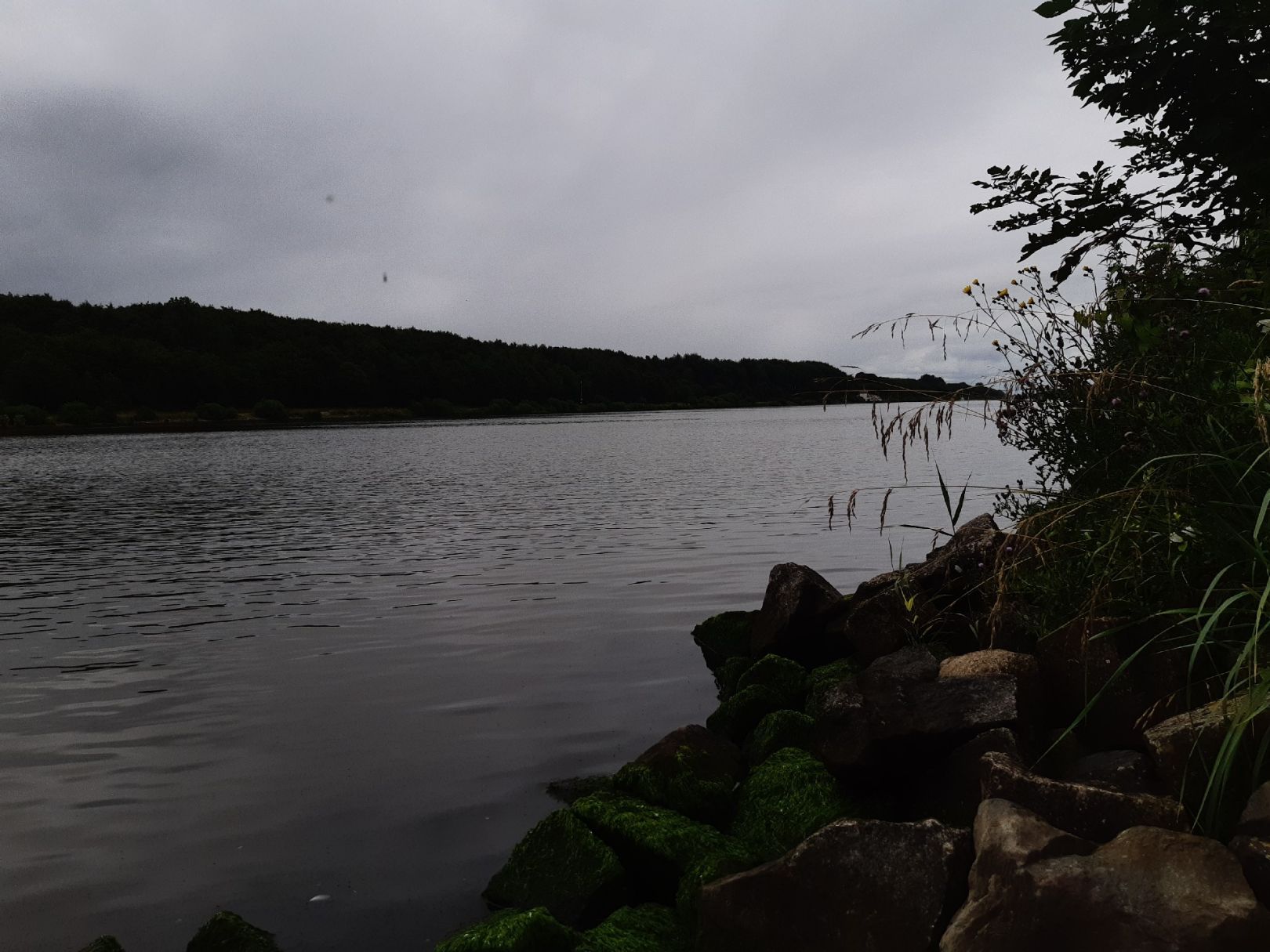 Nord-Ostsee-Kanal (Schafstedt) angeln