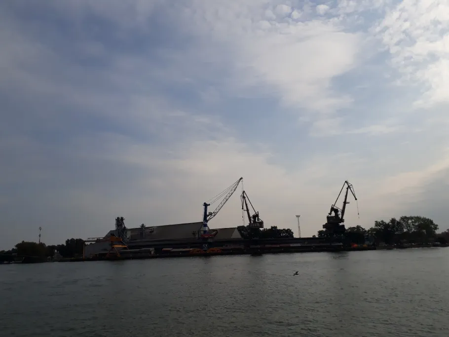 Swine (Swinemünde) angeln