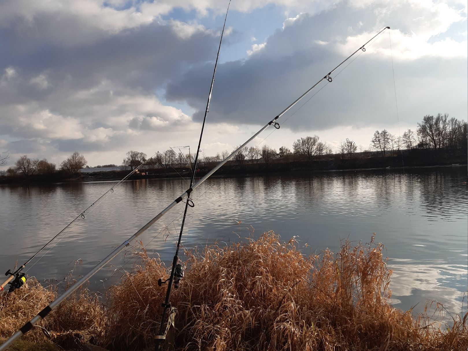 Donau (Geisling-Kiefenholz) angeln
