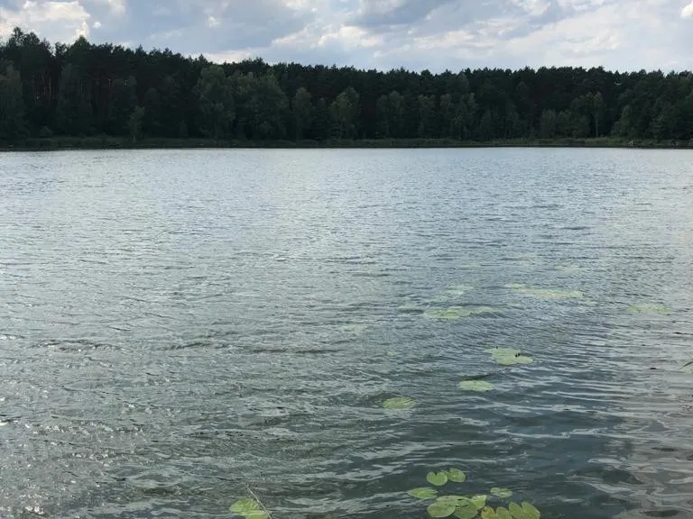 Kormoran Sulęcin  angeln