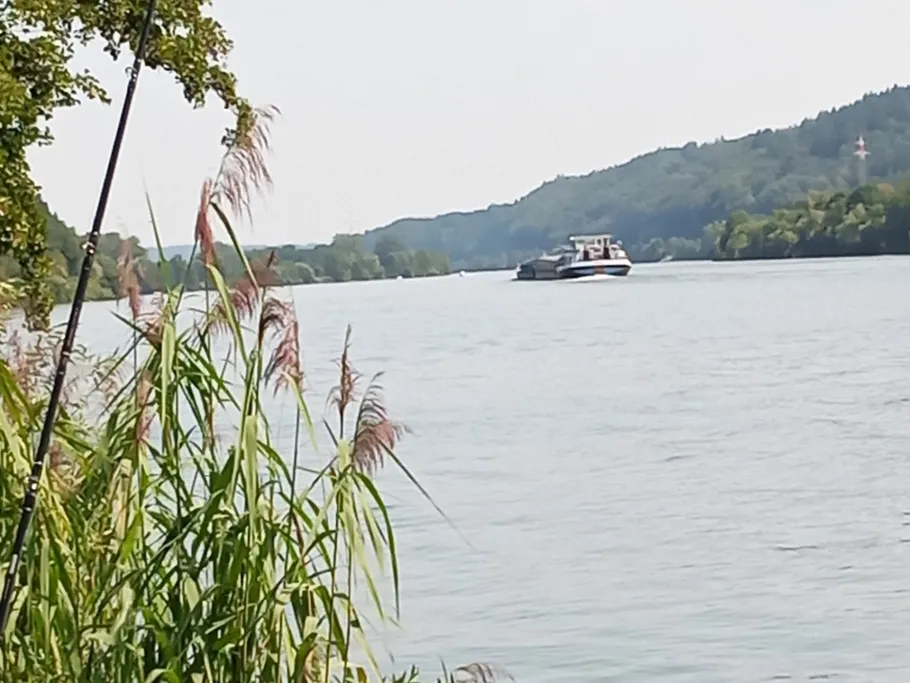 Donau (Besensandbach - Gaishofen) angeln