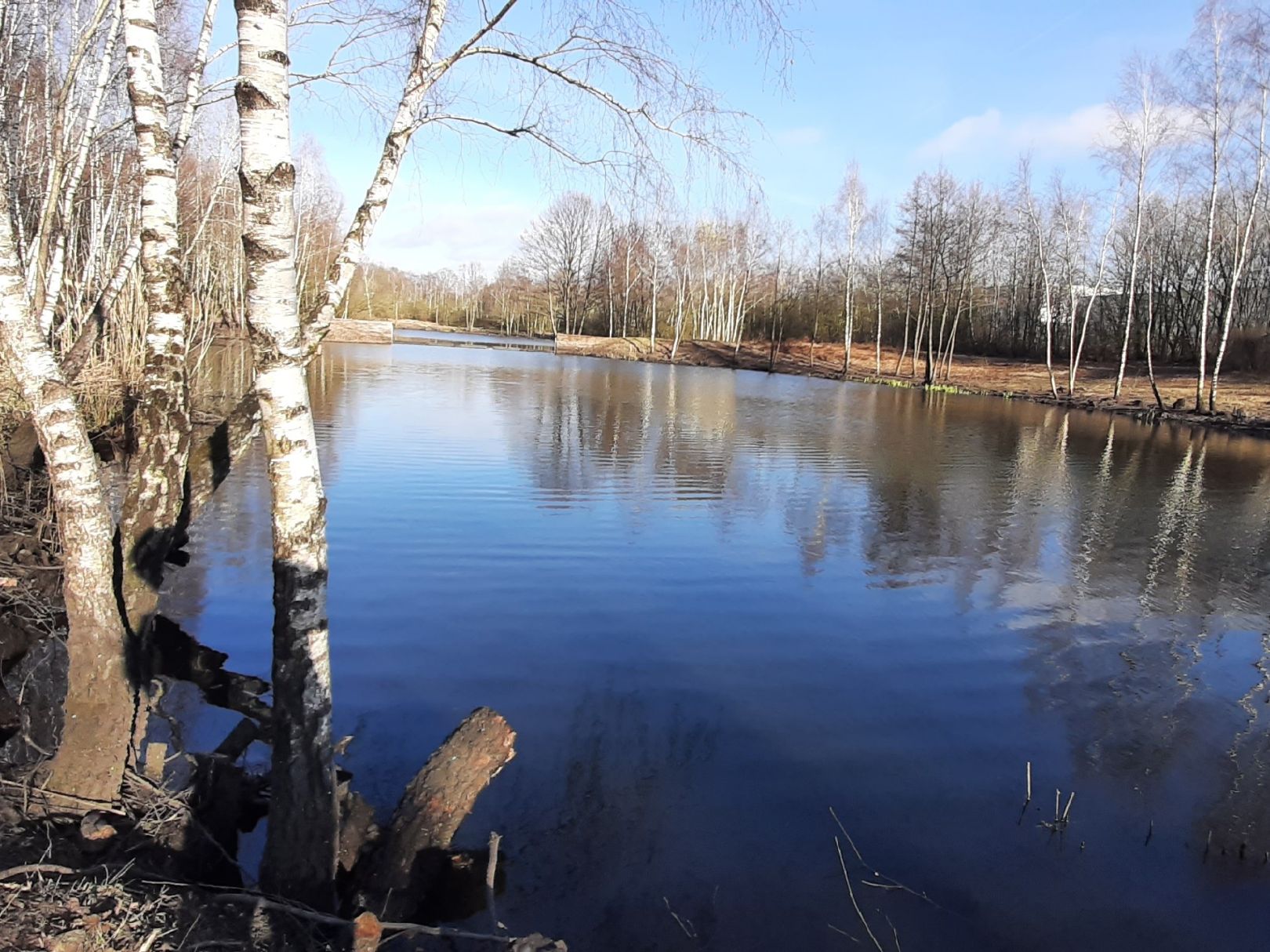 Hägersee (Norderstedt) angeln