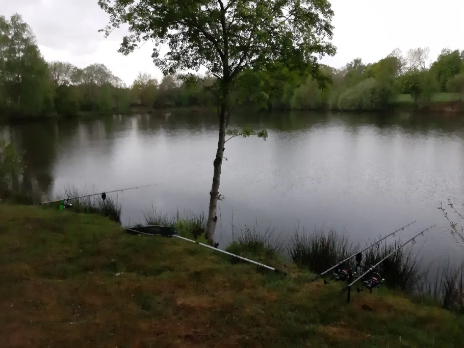 Barghorner Teiche (Loy) angeln