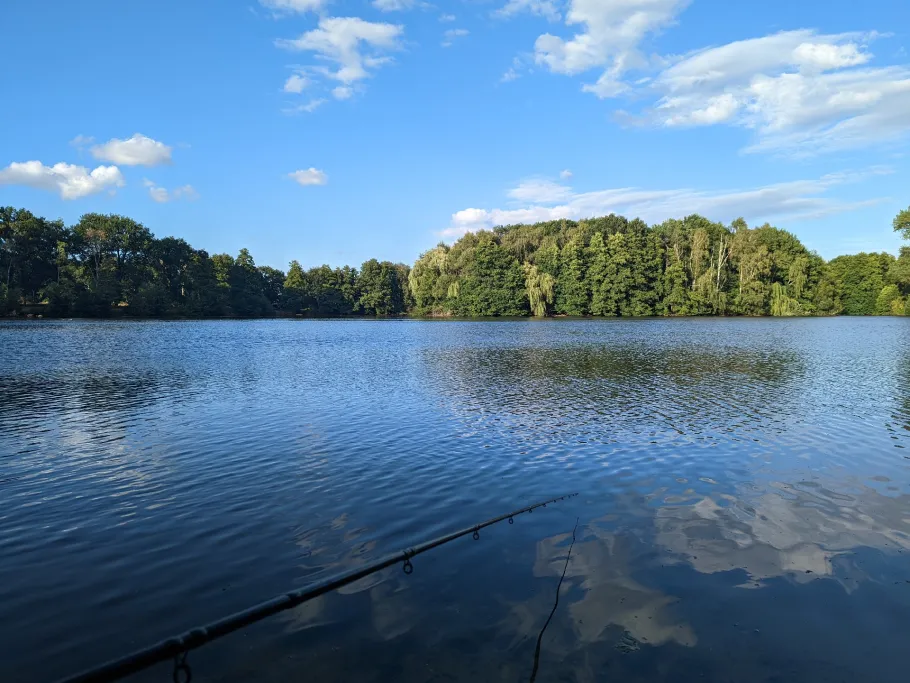 Buschmannsee mit Insel angeln