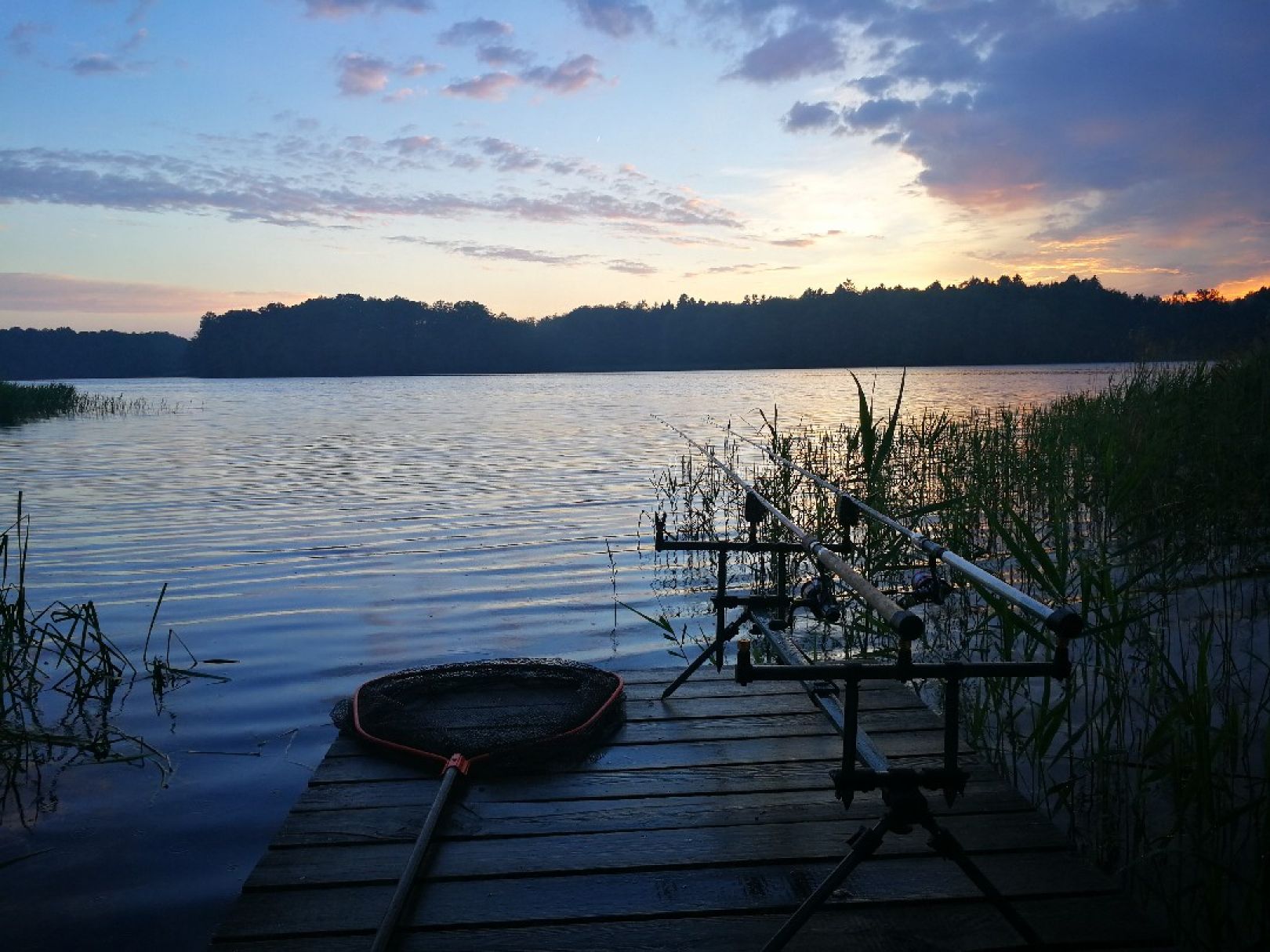 Dümmersee (Ludwigslust) angeln