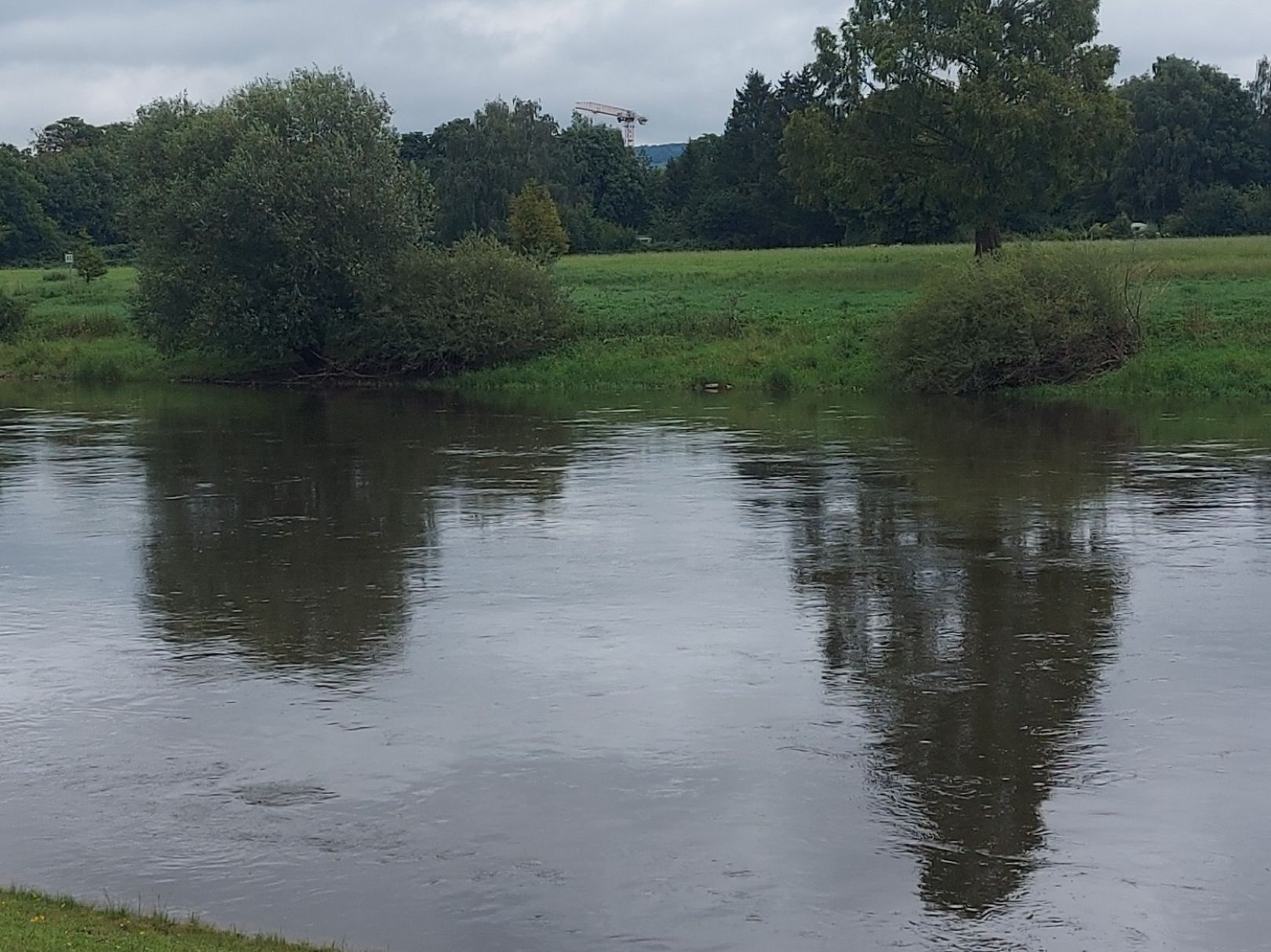 Weser (Holzminden) angeln