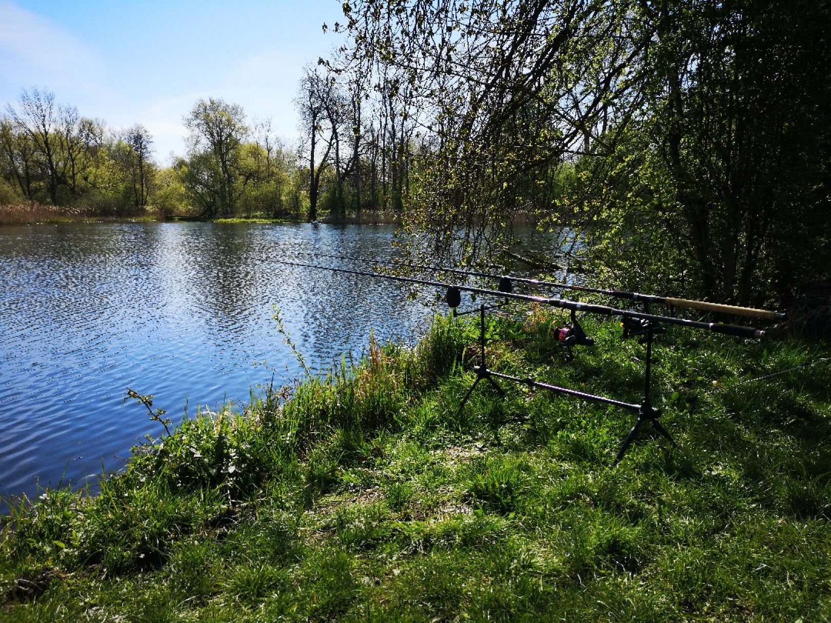 Mühlenteich (Rüting) angeln