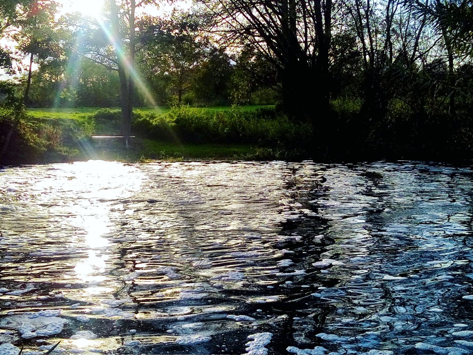 Mühlenteich (Rüting) angeln