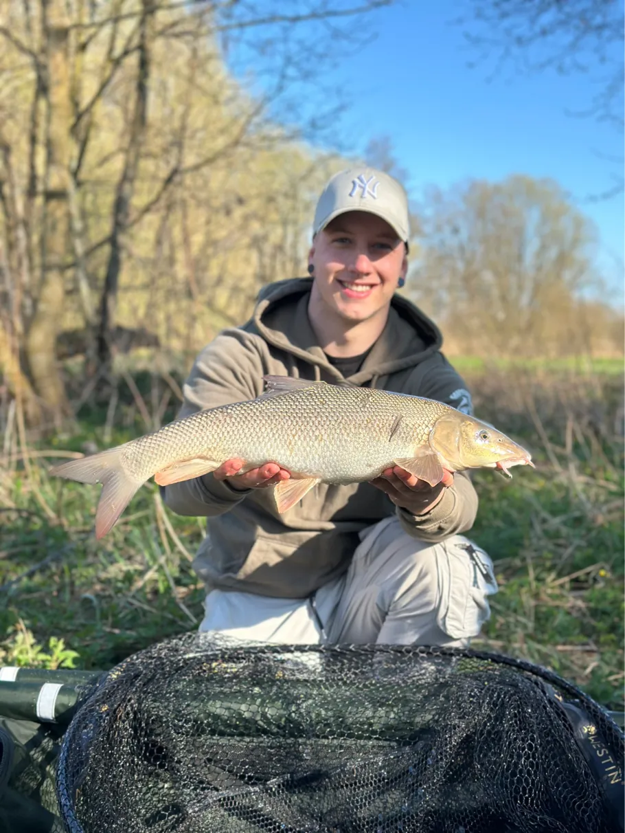 Kocher (Gaildorf) angeln