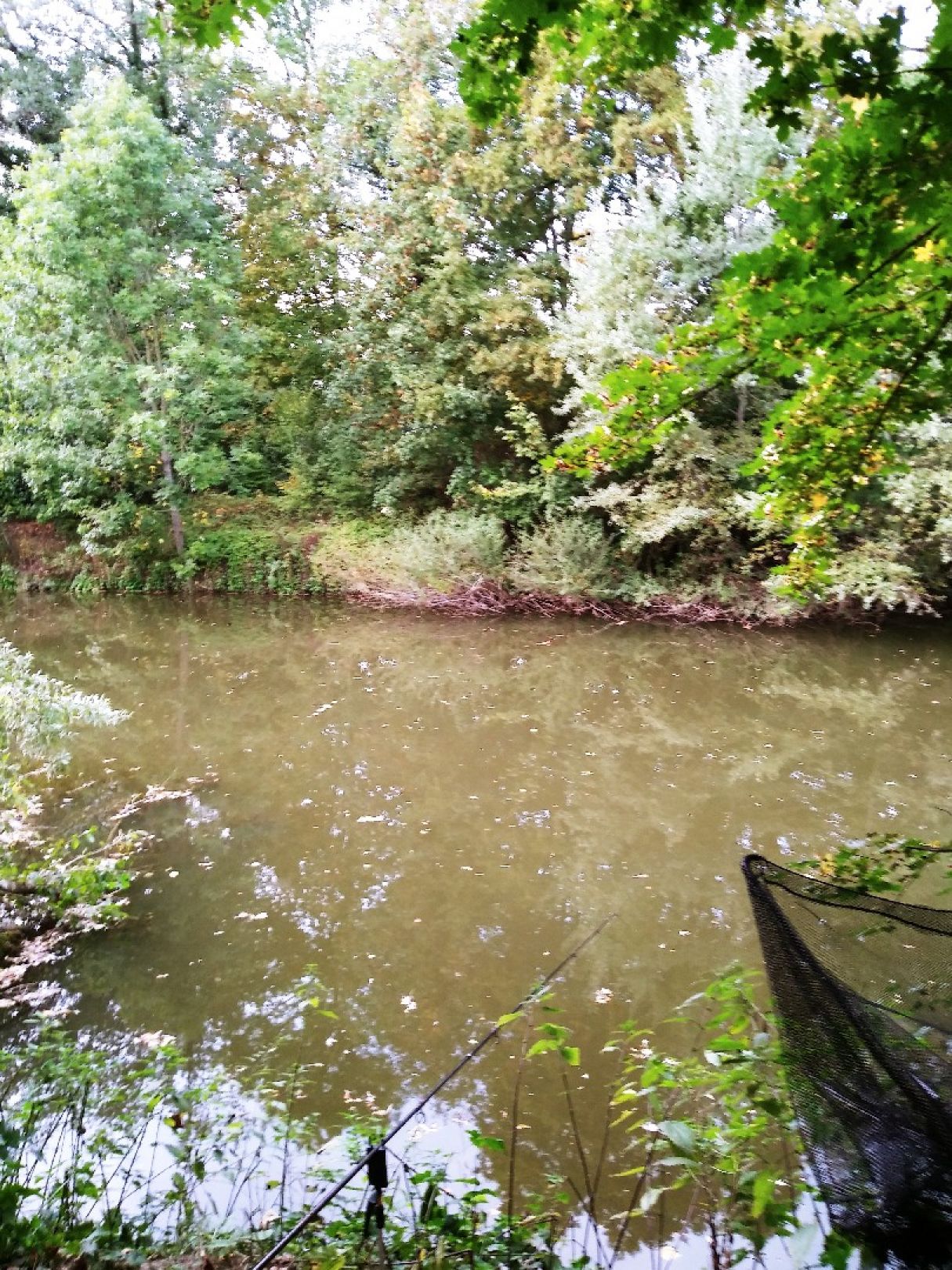 Kocher (Gaildorf) angeln