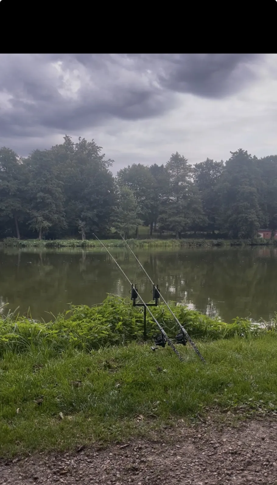 Mühlenteich Nordhastedt angeln