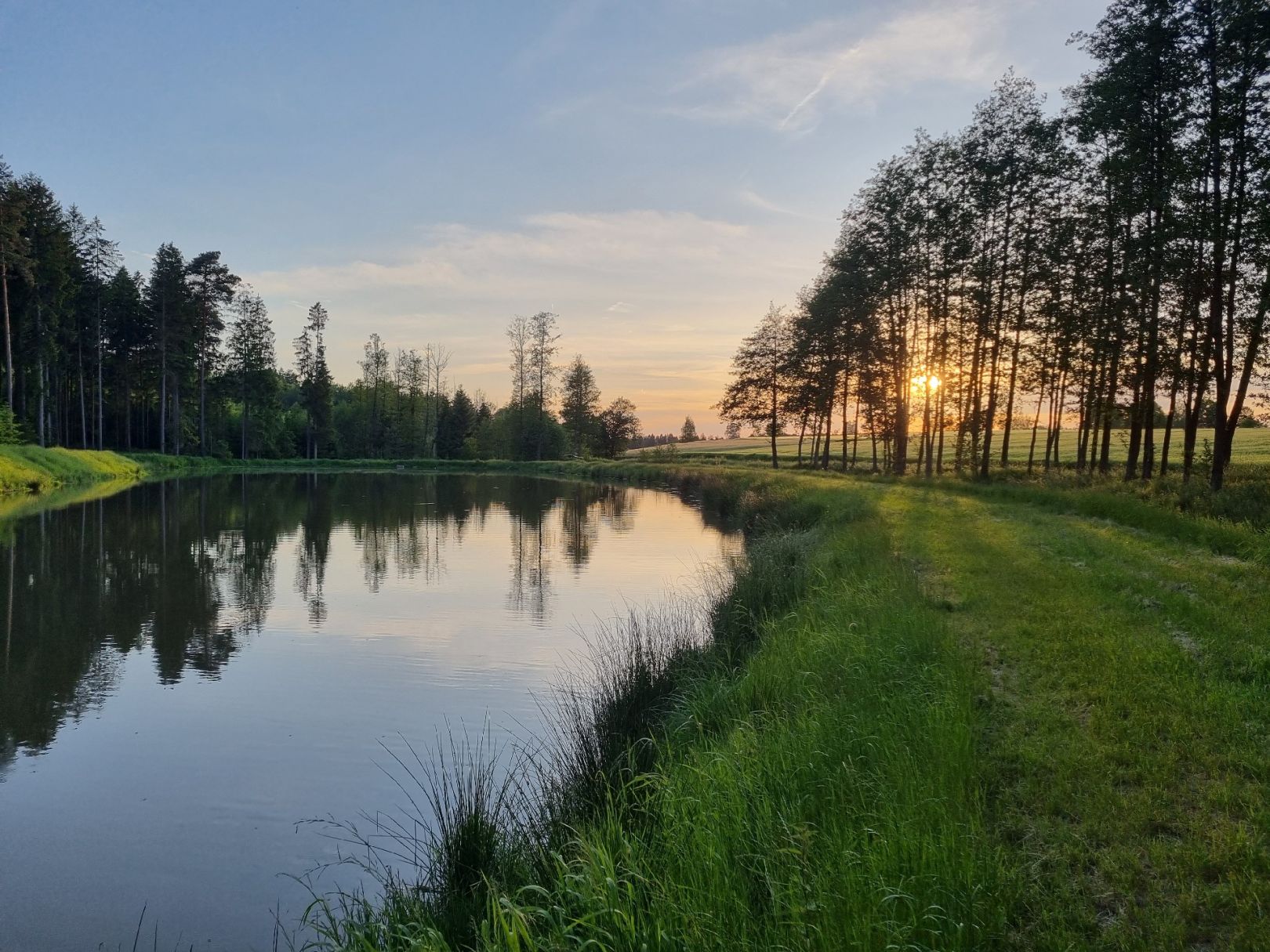 Schmiedweiher (AV Schönkirch) angeln