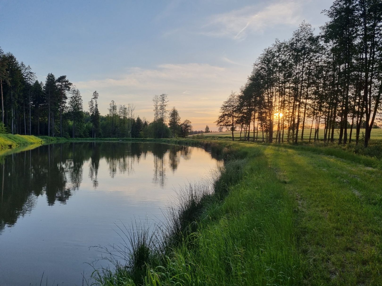 Schmidweiher angeln