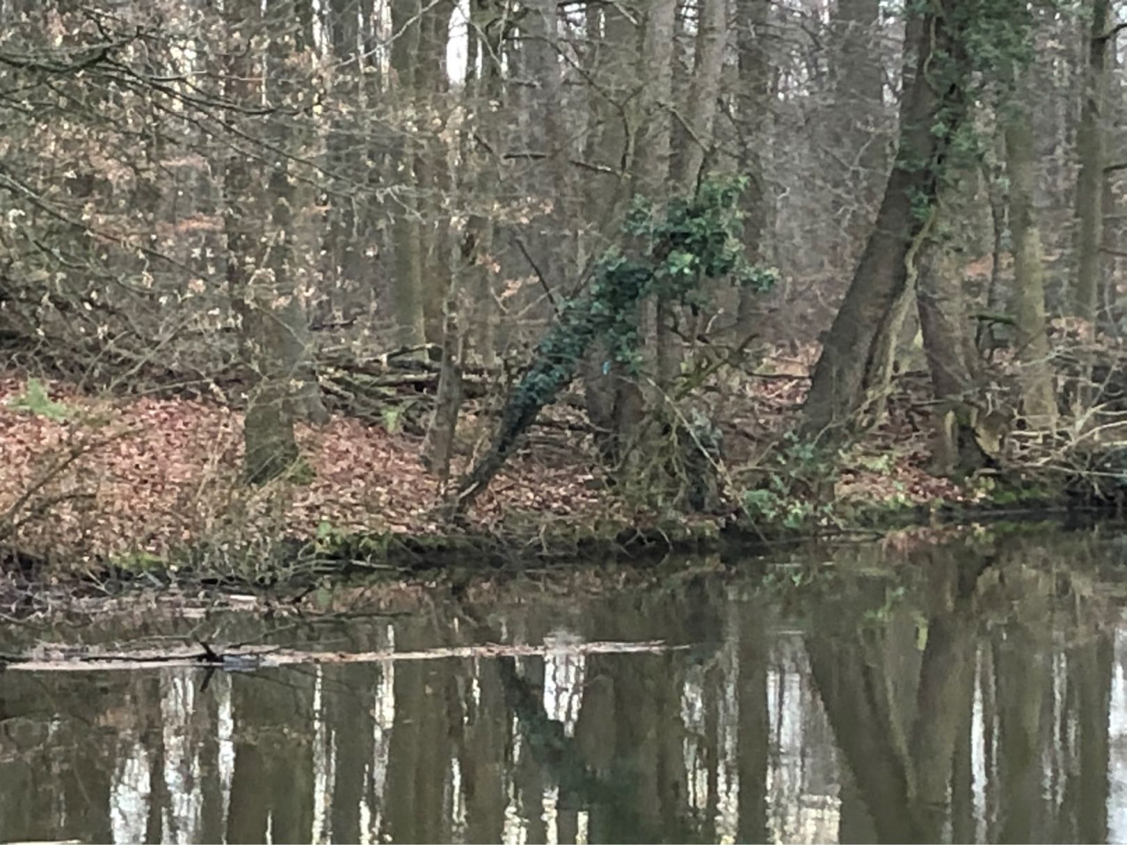 Grundloser Kolk (Warendorf) angeln