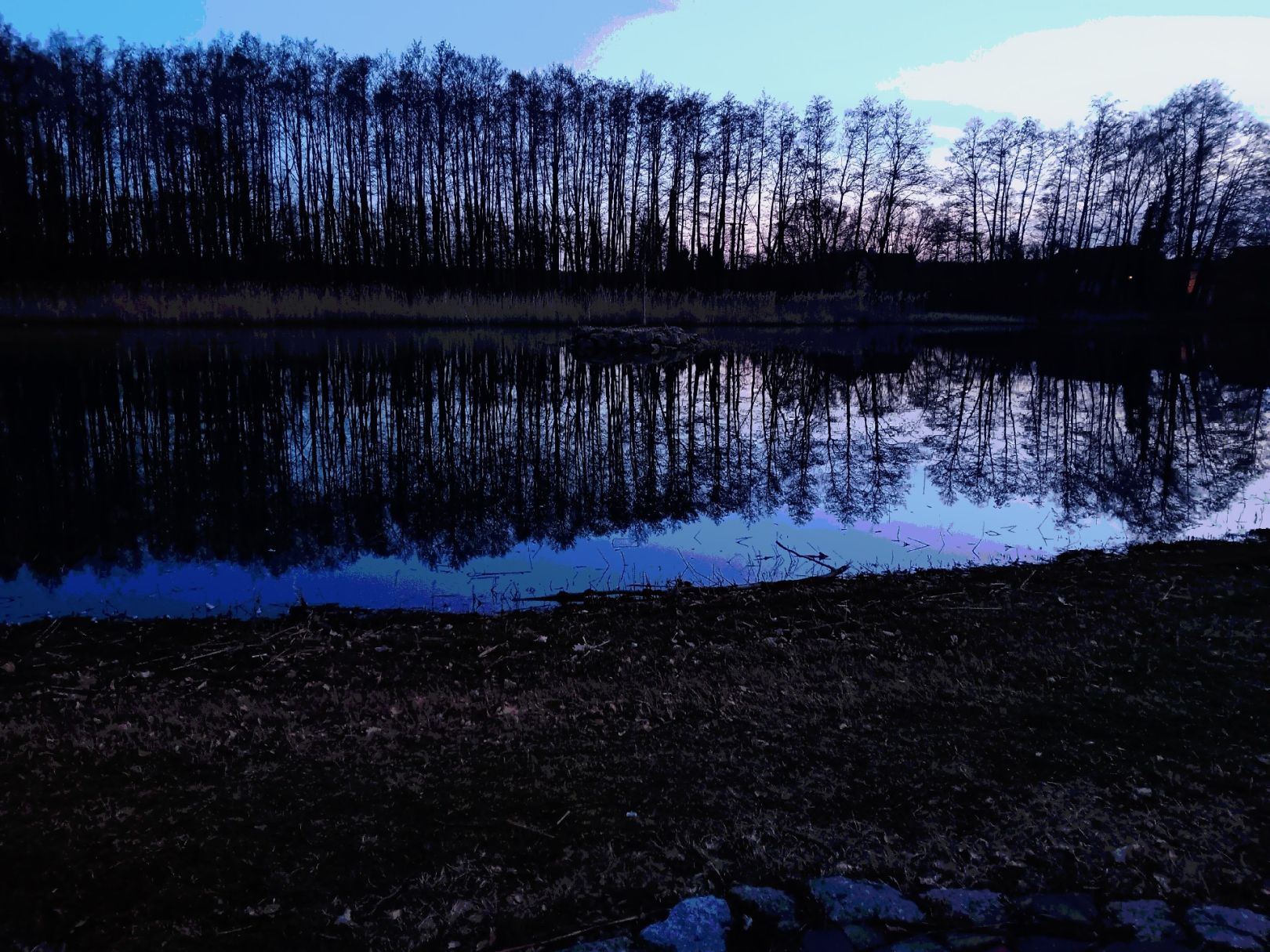 Schmerzer Teich (Muldestausee) angeln
