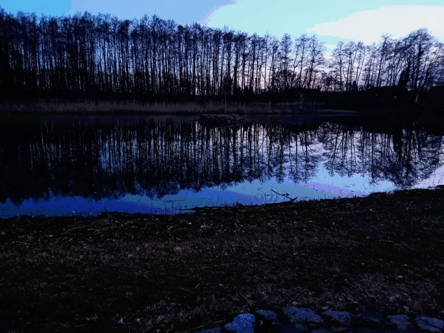 Schmerzer Teich (Muldestausee) angeln