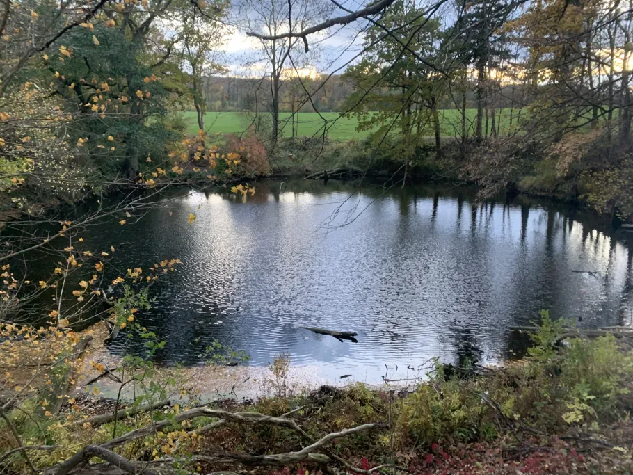 Röhnsitte Diekholzen angeln