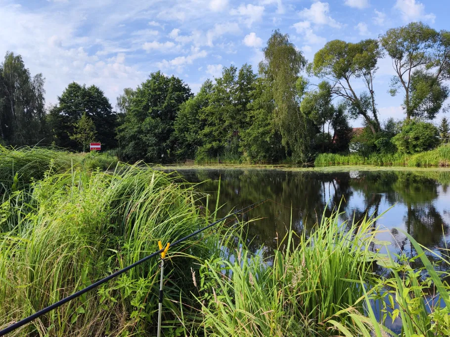 Havel (Pinnow) angeln