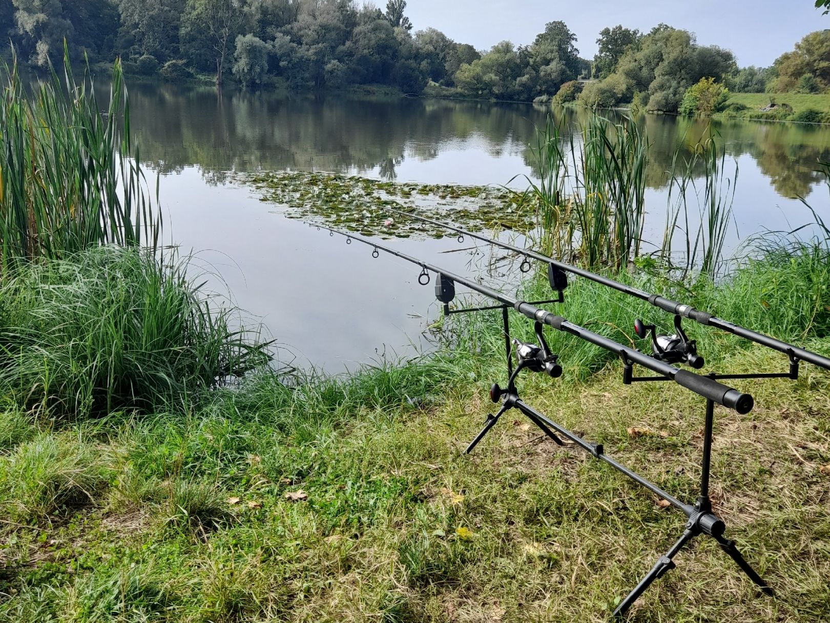Diepold (Dessau) angeln