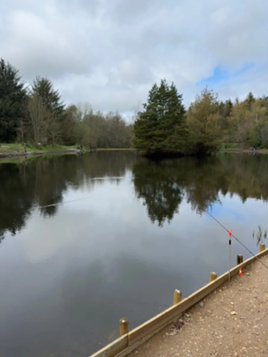 Henne Put & Take angeln