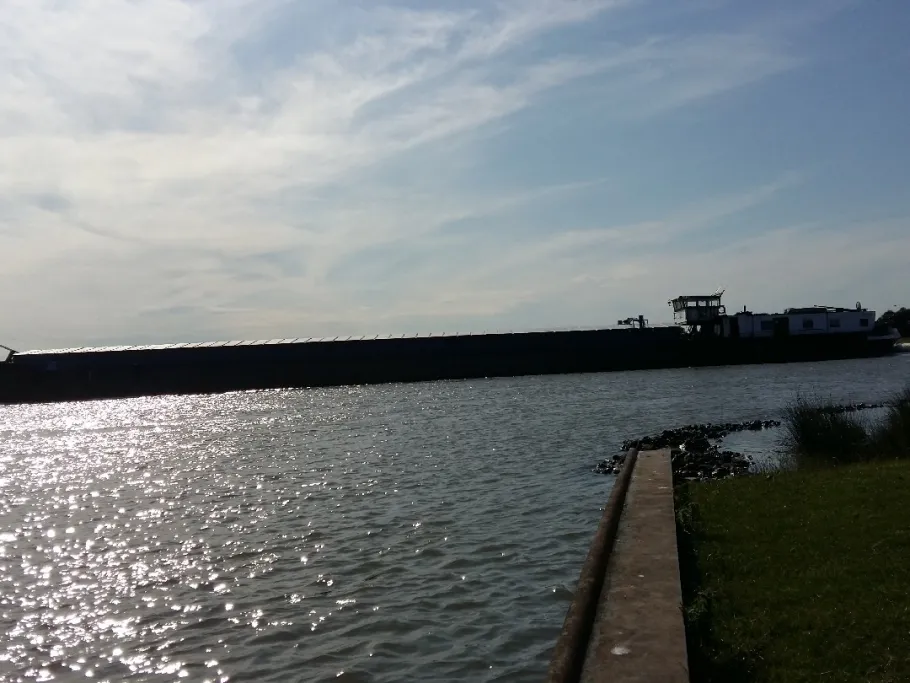 Kremper Au (Krempe) angeln