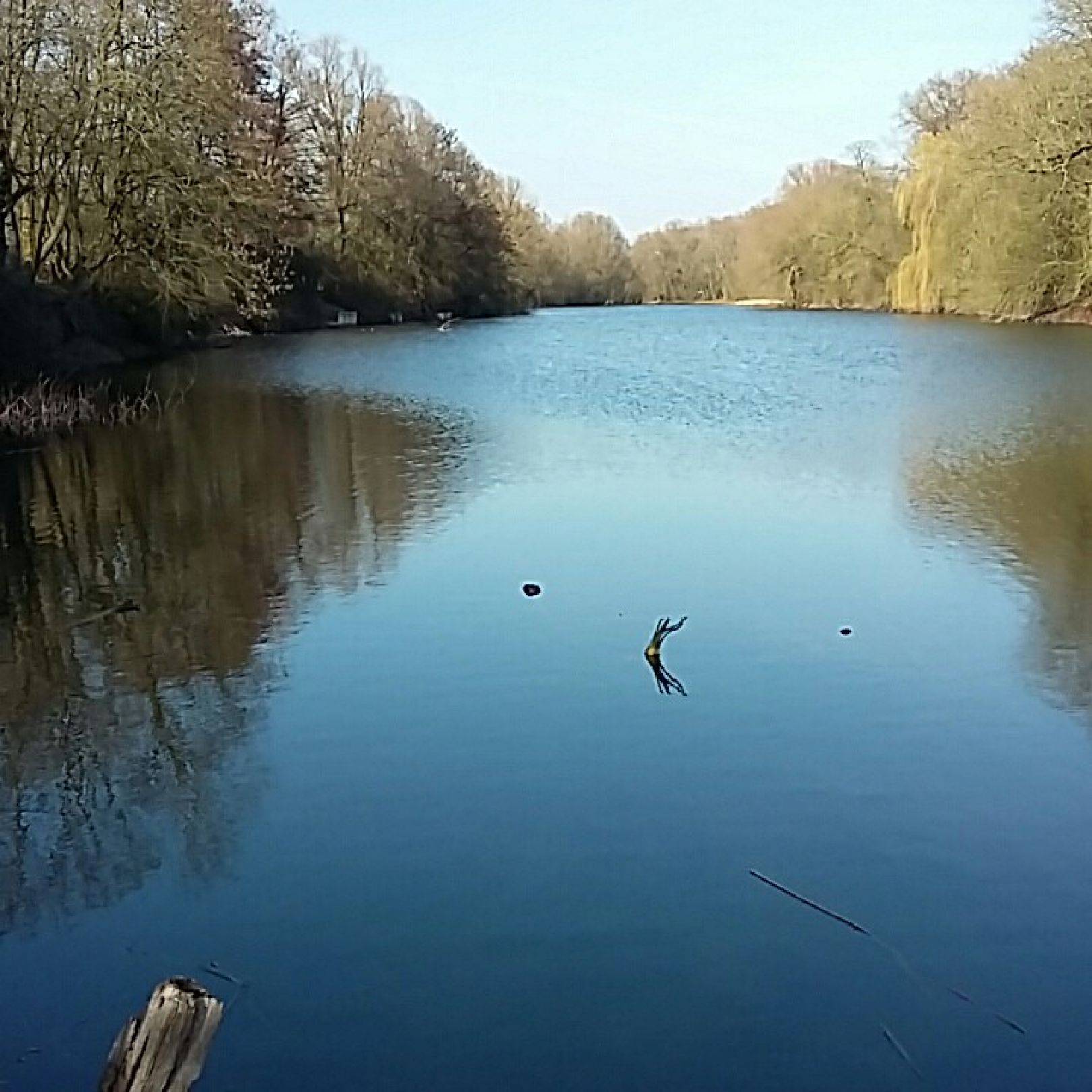 Estorfer See angeln