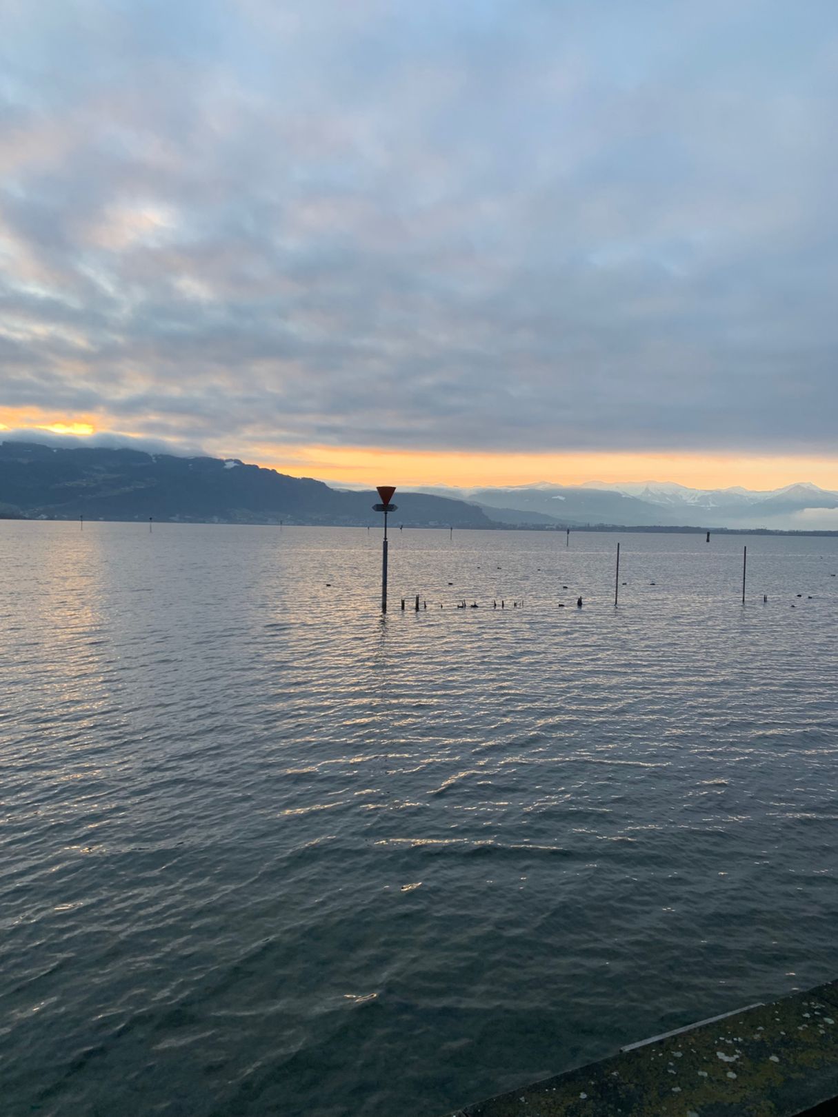 Angeln in Lindau (Bodensee)