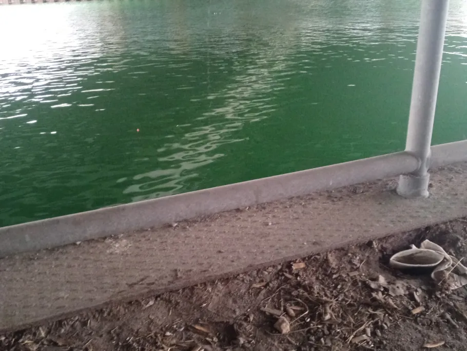 Dortmund-Ems-Kanal (Dortmund) angeln