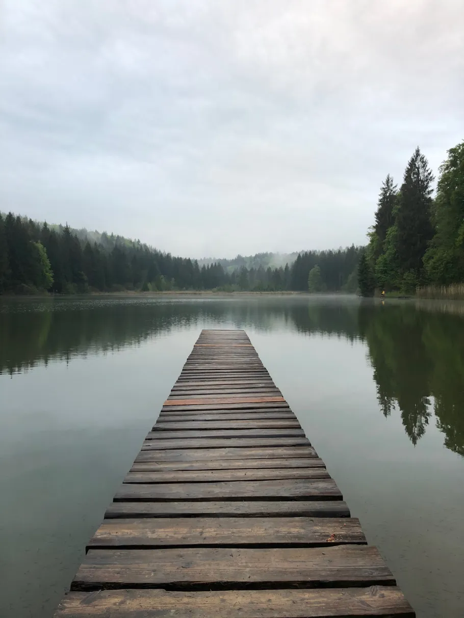 Dienhauser Weiher angeln