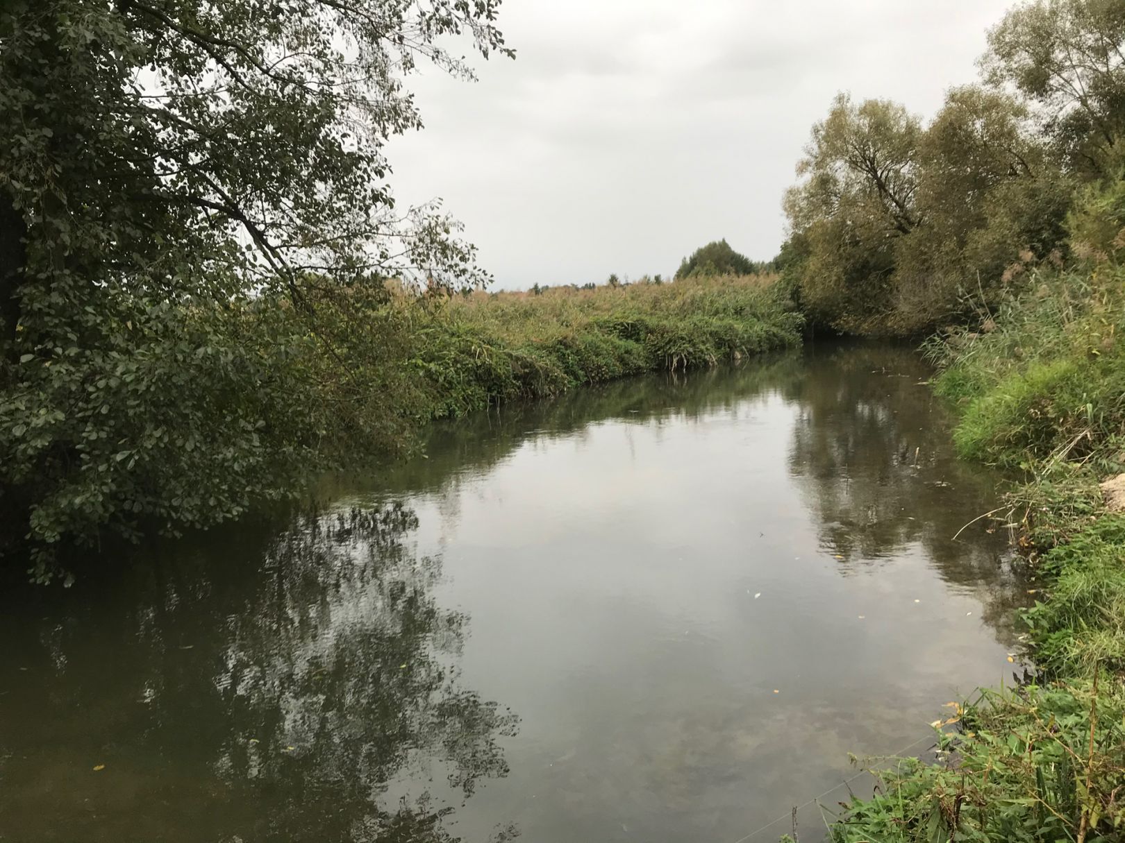 Kleine Laber (Atting) angeln