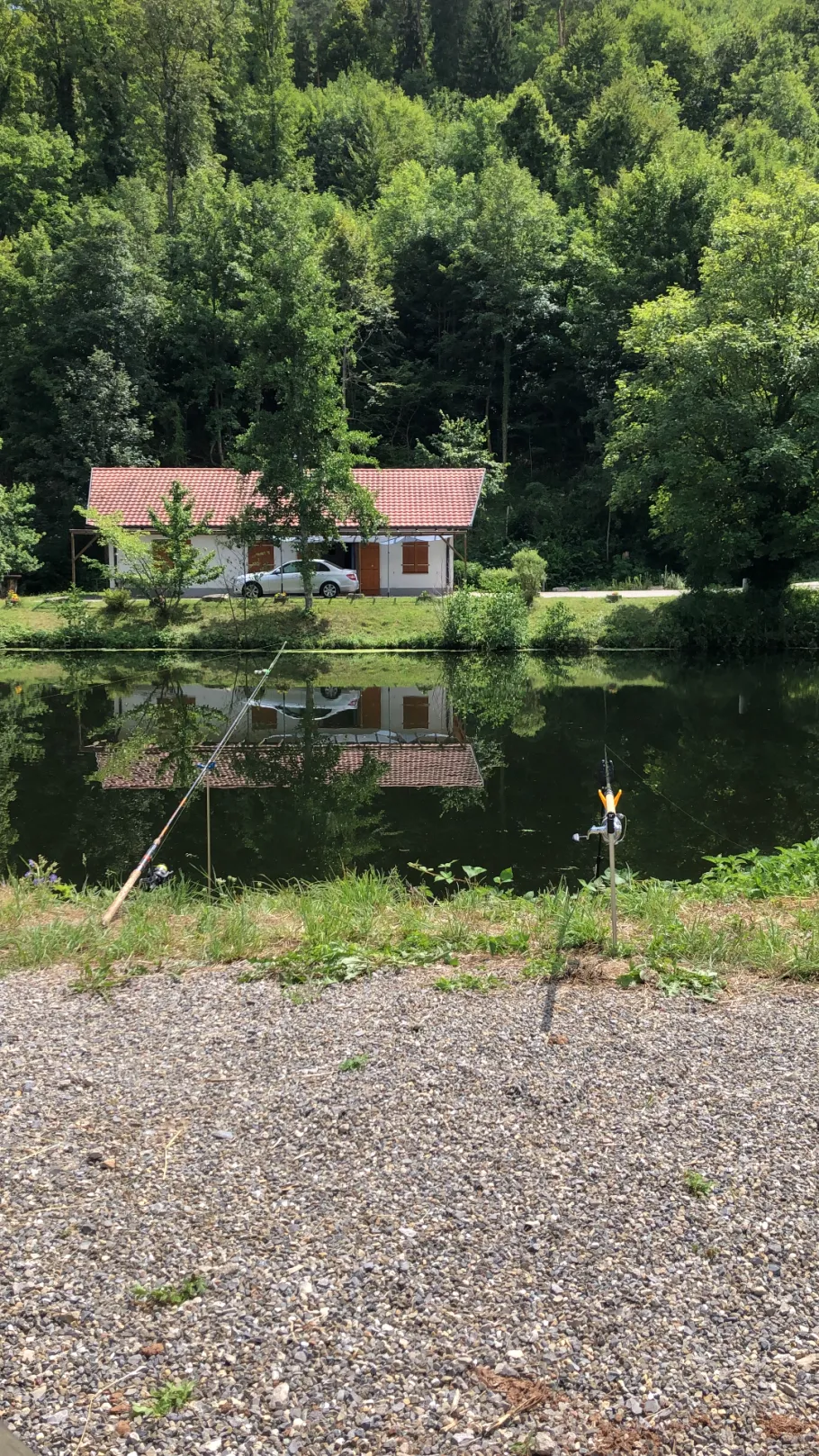 Neckar (Sulz am Neckar) angeln