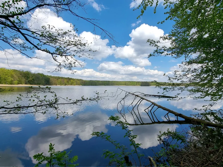 Moderfitzsee angeln