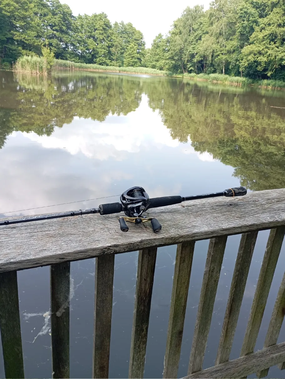 Mühlenteich (Bad Düben) angeln