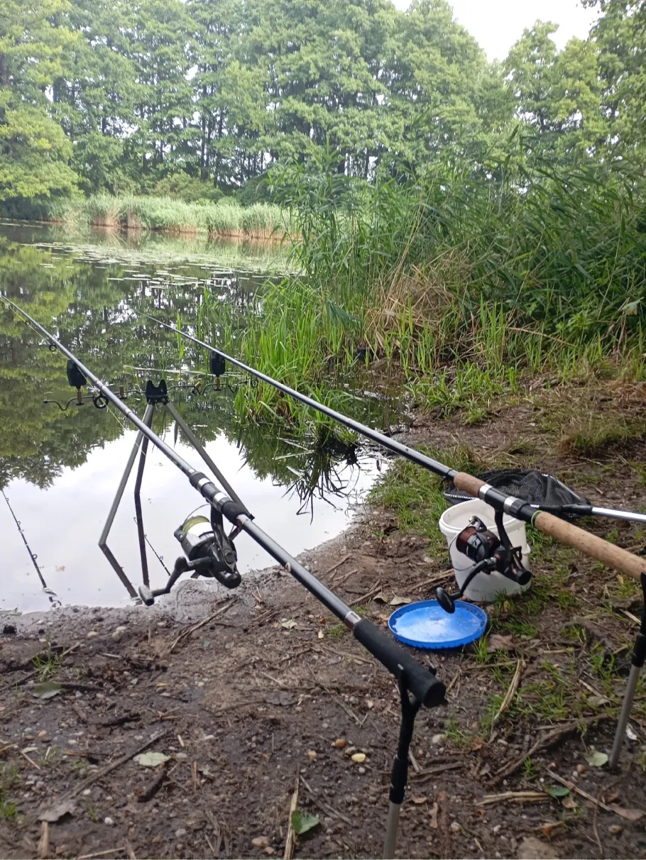 Mühlenteich (Bad Düben) angeln