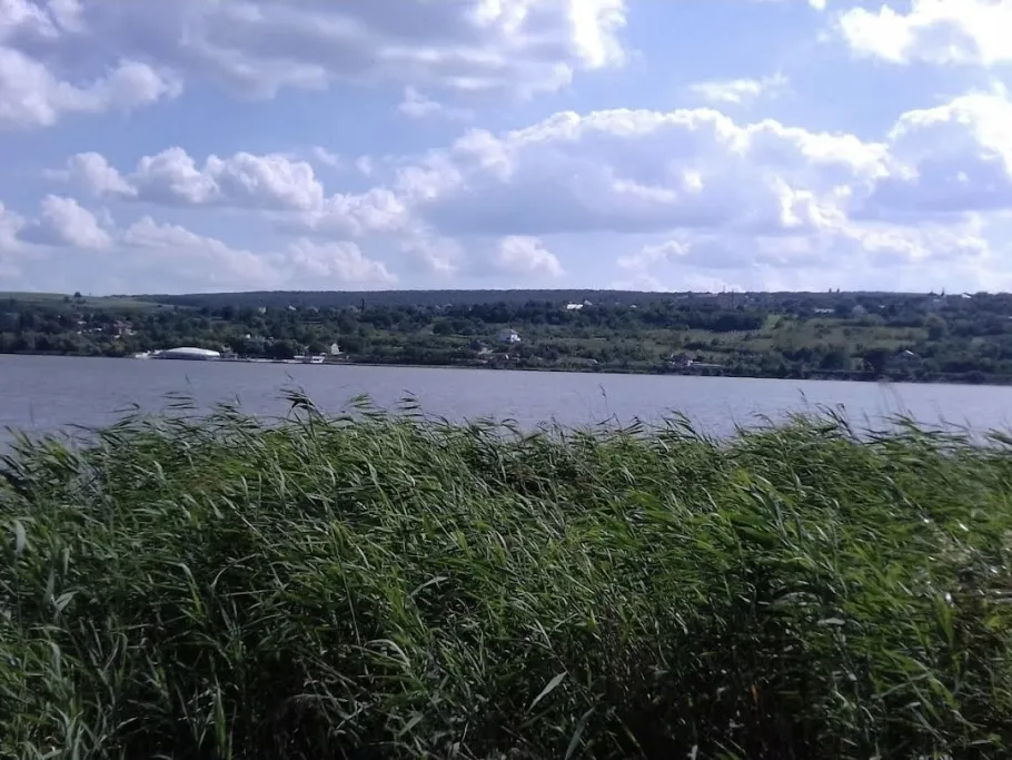 Iazul Danceni angeln