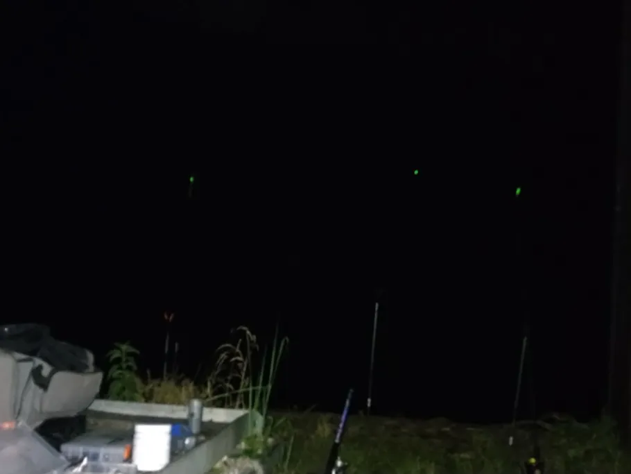 Lühe (Grünendeich) angeln