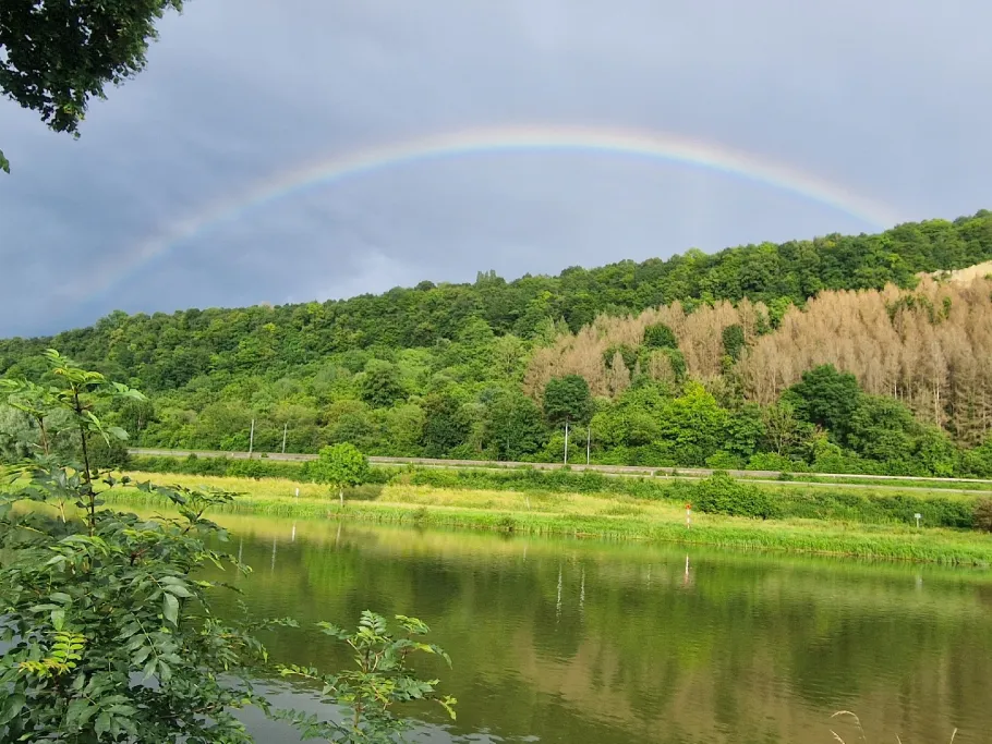 Mosel (Temmels-Mertert) angeln