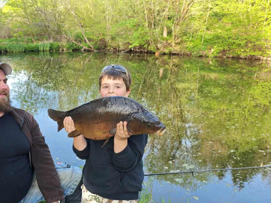 Holzwiesenteich (Atzenhain) angeln