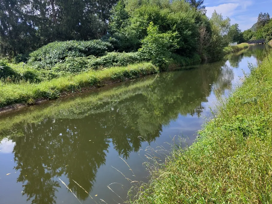 EVS-Kanal (Enzberg) angeln
