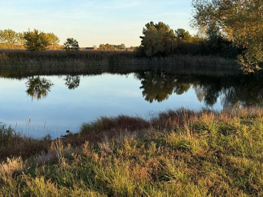 Neues Wiel (Schönhausen) angeln