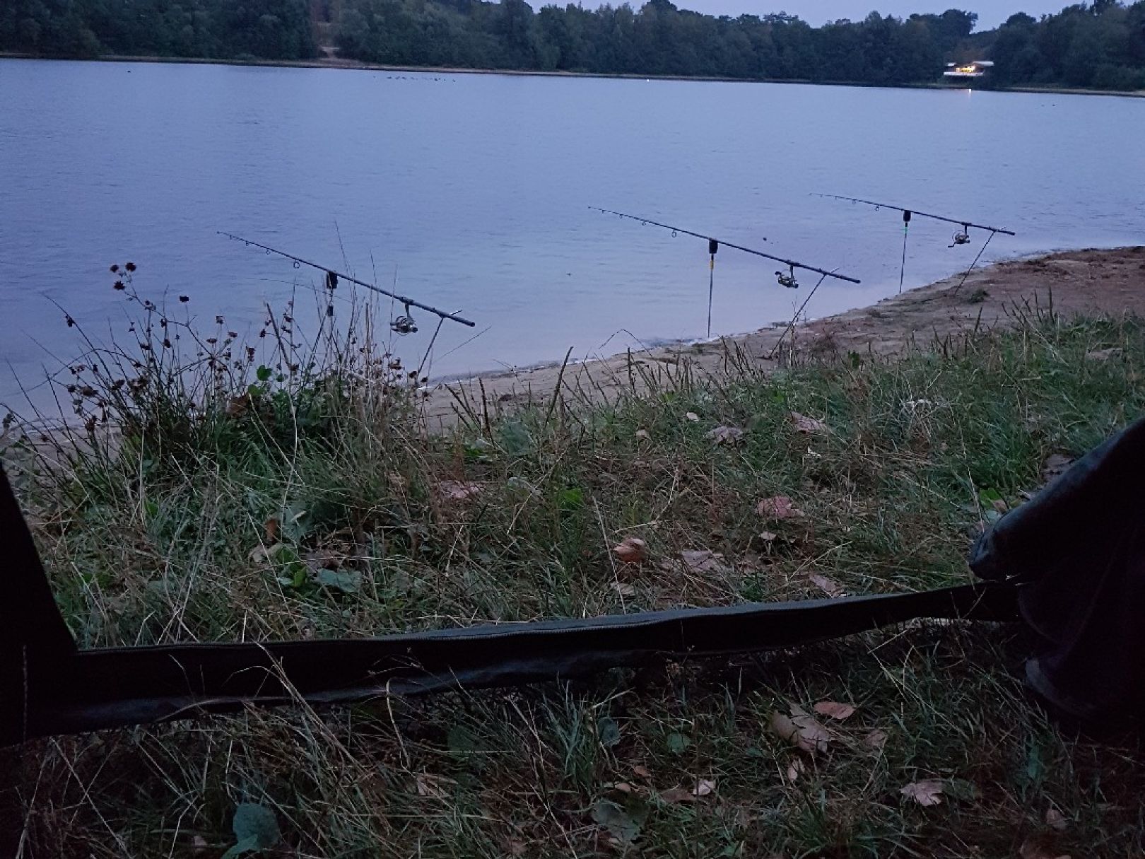 Halener Badesee | ALLE ANGELN