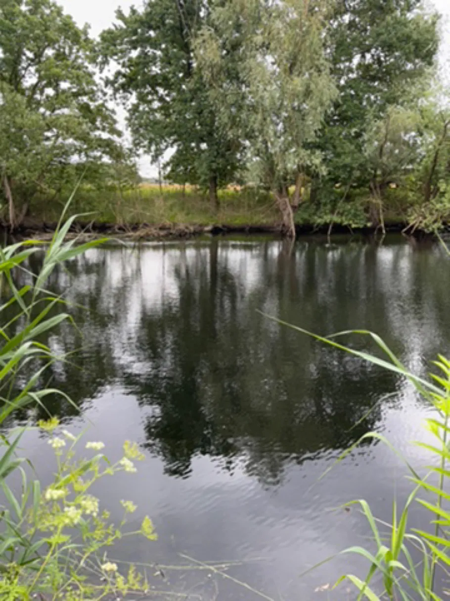 Alter Werrearm (Löhne) angeln