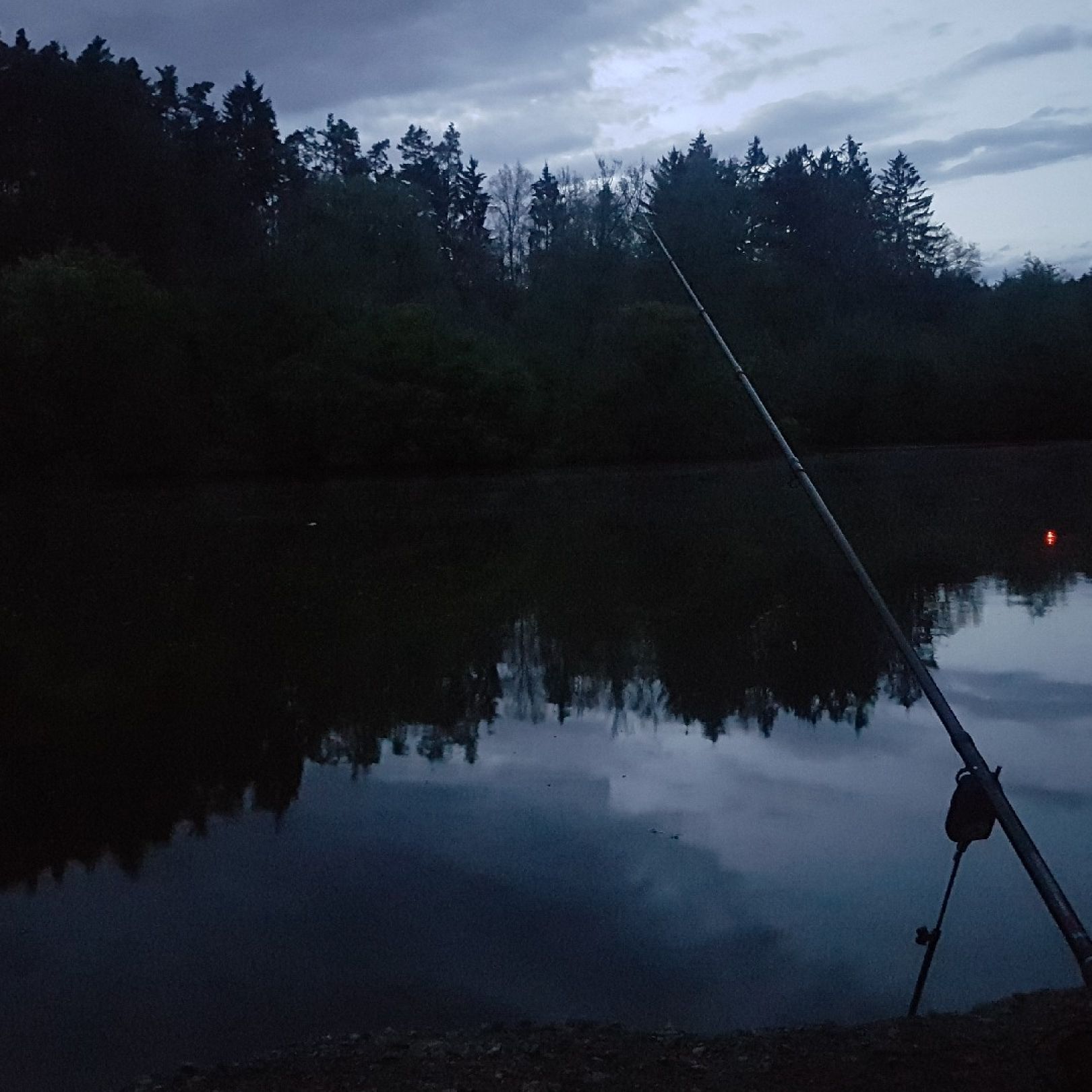 Fröschauer Weiher angeln