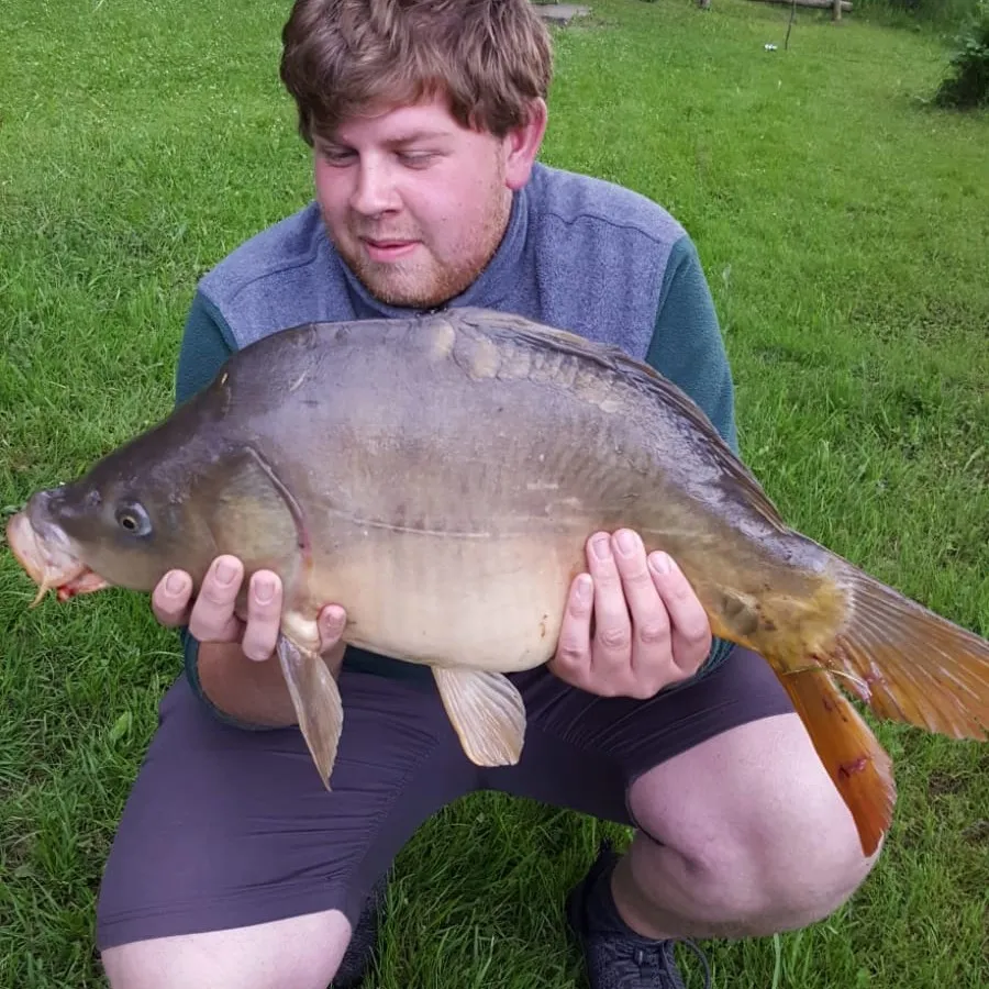 Hengelesweiher (Isny) angeln