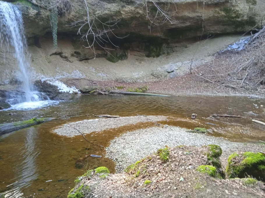 Kienbach (Erling) angeln