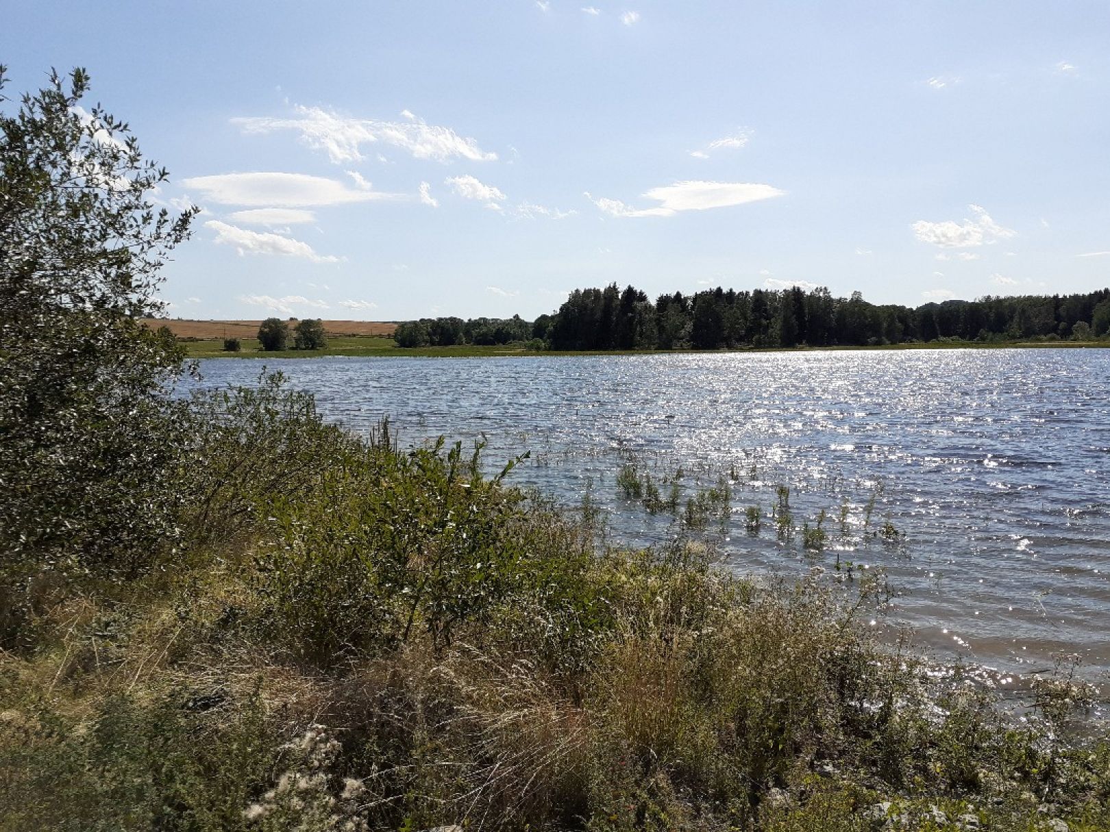 Hüttenteich (Brand-Erbisdorf) angeln