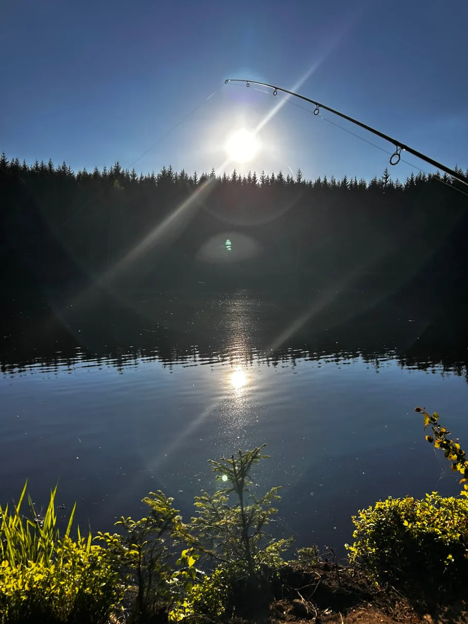 Dolni Hranični Rybnik angeln