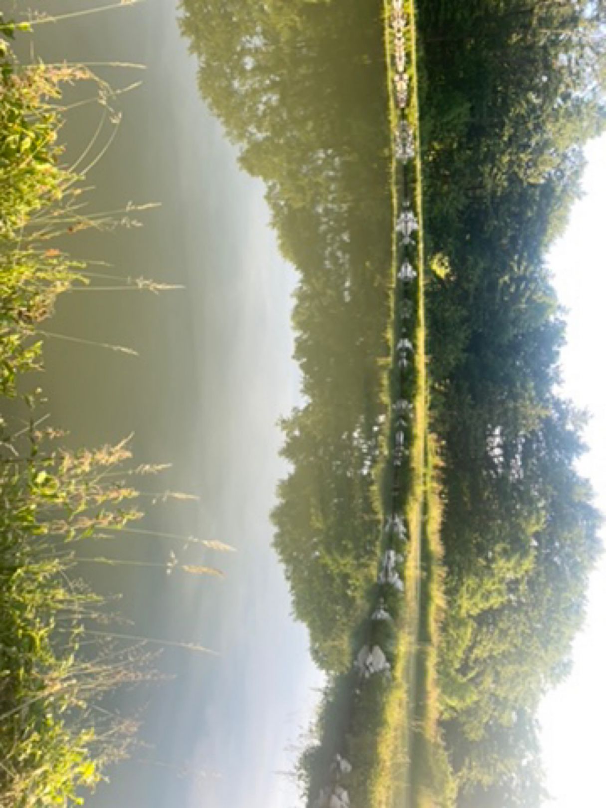 Weiher Creez angeln
